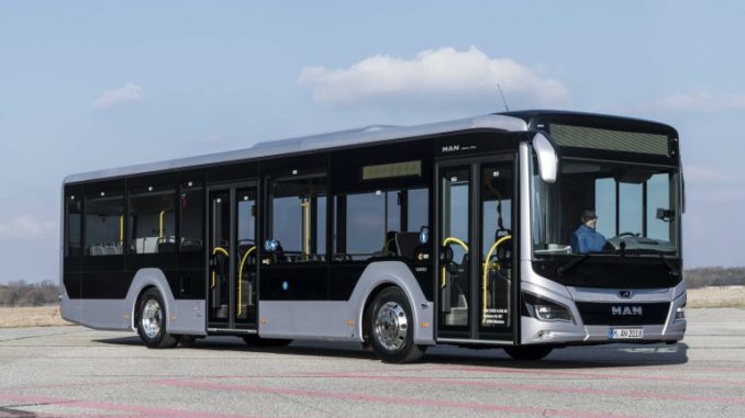 P_Bus_EOT_LionsCity_2018-14-768x512